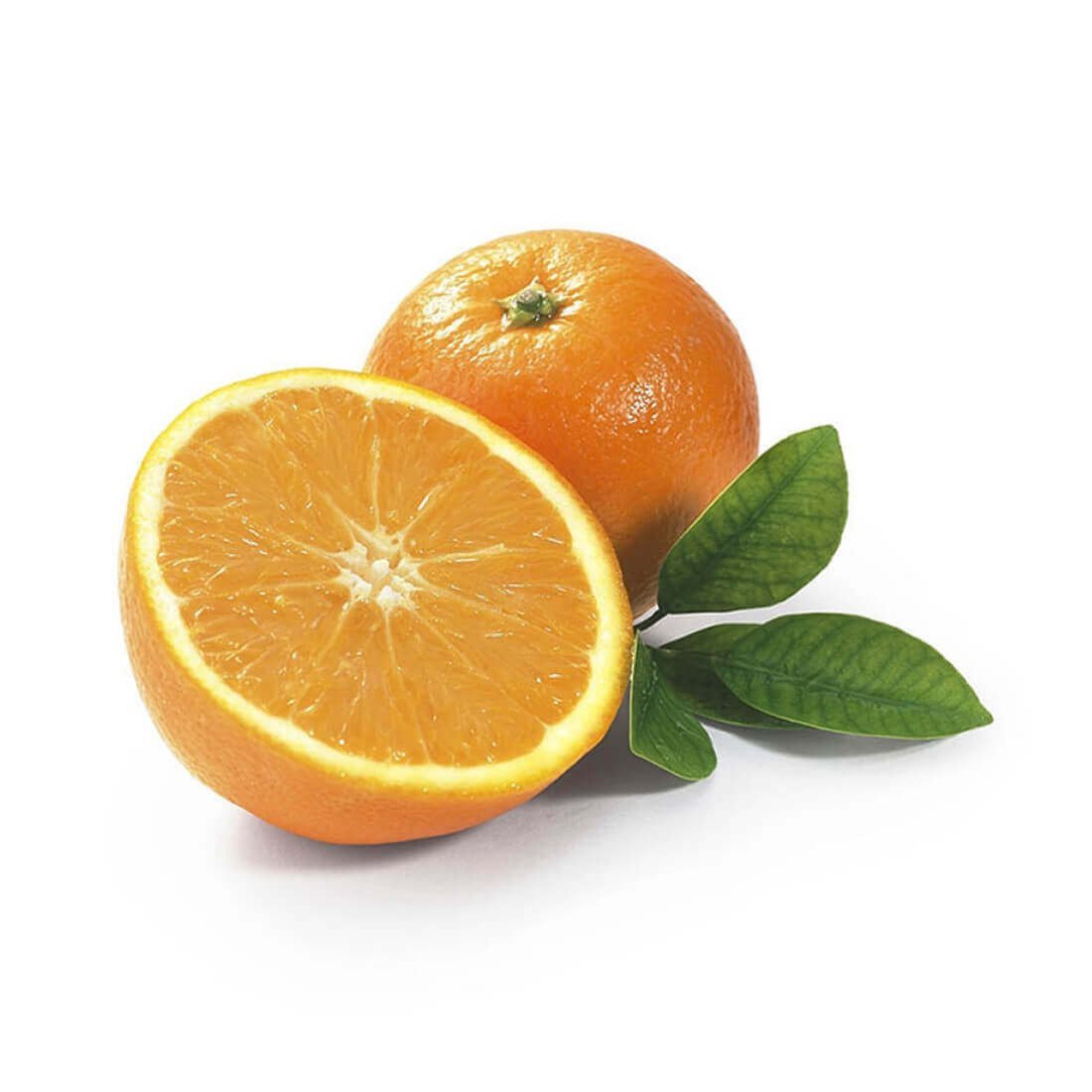 Image-product-14.jpg