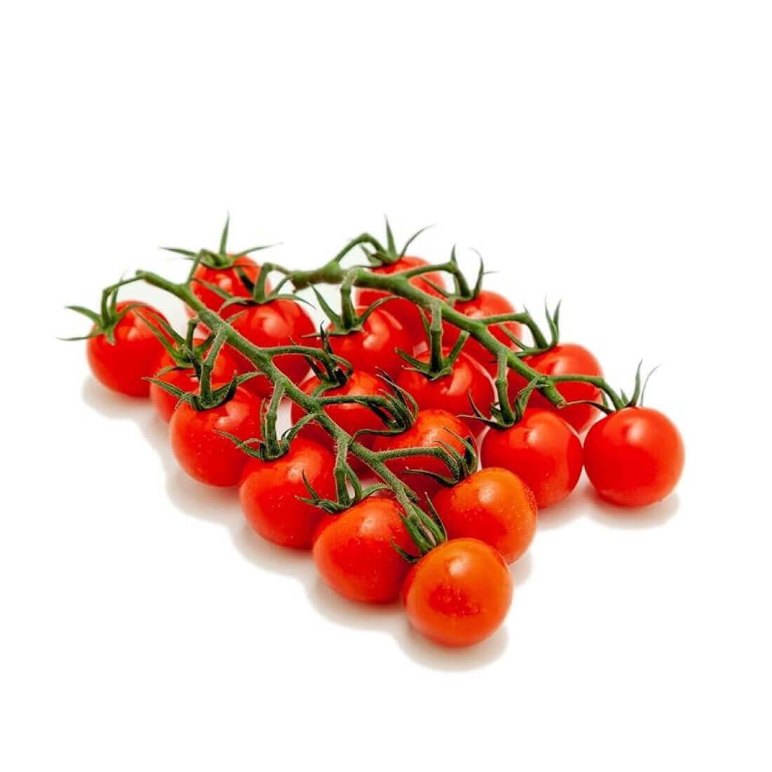 Image-product-4.jpg