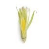 Organic Corn Bio 1